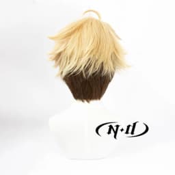 ND Arashi Narukami Cosplay Wigs Hairpiece The Ensemble Stars Cosplay Hair Wigs for Comic Con Coser Costume Party Heat Resistant