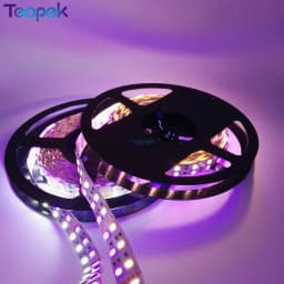 Double Row 5050 RGBW RGBWW RGB Cool White Warm White Flexible LED Strips DC12V 24V 5M/roll 120led/M 600LEDs 15mm PCB