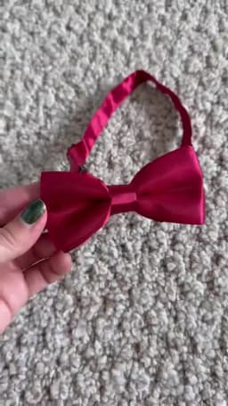 HUISHI 34 Colors Solid Fashion Bowties Groom Kids Formal Colourful Children Cravat Green Marriage Butterfly Wedding Bow Ties