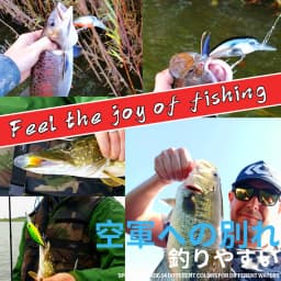 BearKing 65mm 16g hot model A+ fishing lure new crank 5color for choose dive 10-12ft,2.8-3.2m fishing tackle hard bait