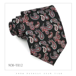 9cm Brand Paisley Floral Neckties Formal Business Ties for Men Wedding Retro Paisley Necktie Men's Business Bridegroom Neckties