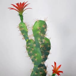 70CM Artificial Plants Cactus Flowering Succulents Fake Tropical Green Aloe Vera Indoor Home Living Room House Decor Accessori