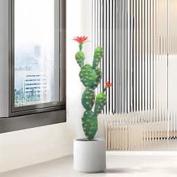 70CM Artificial Plants Cactus Flowering Succulents Fake Tropical Green Aloe Vera Indoor Home Living Room House Decor Accessori