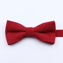 Classic Colorful Parent-Child Bowties Super Soft Velvet Corduroy Wedding Men Kid Bow Tie Romantic Blue Pink Red Butterfly Cravat