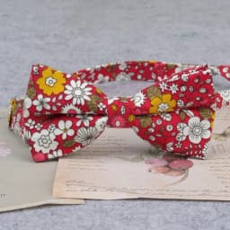 Brand New Men Fashion Retro Flower Print Bow Ties For Man Casual School Boys Cats Pattern Neck Wear Bowtie Accessories Butterfly