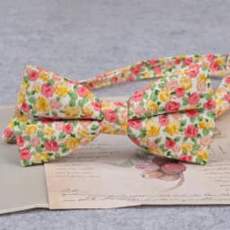 Brand New Men Fashion Retro Flower Print Bow Ties For Man Casual School Boys Cats Pattern Neck Wear Bowtie Accessories Butterfly