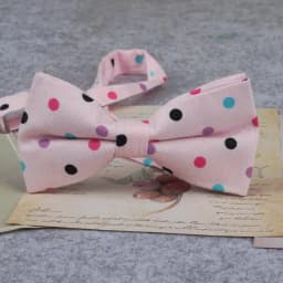 Brand New Men Fashion Retro Flower Print Bow Ties For Man Casual School Boys Cats Pattern Neck Wear Bowtie Accessories Butterfly