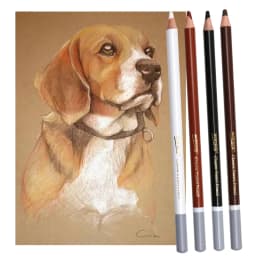 4 Color Professional Soft Pastel Charcoal Pencils Wood Skin Tints White Colored Pencils For Artist Drawing Sketching Blending