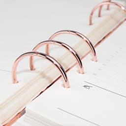 A5 A6 Rose Gold Notebook Planner Organizer Binder Books Journal Sketchbook Accessories Diary Office Supplies Notebook