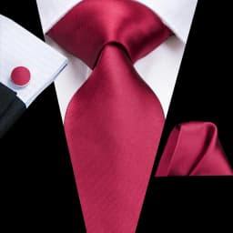 Mens Gift Tie Set Red Wine Burgundy Paisley Wedding Floral Maroon NeckTie For Men Fashion Design Hanky Cufflinks silk Business
