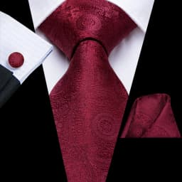 Mens Gift Tie Set Red Wine Burgundy Paisley Wedding Floral Maroon NeckTie For Men Fashion Design Hanky Cufflinks silk Business