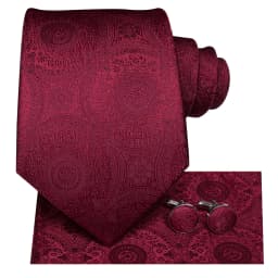 Mens Gift Tie Set Red Wine Burgundy Paisley Wedding Floral Maroon NeckTie For Men Fashion Design Hanky Cufflinks silk Business