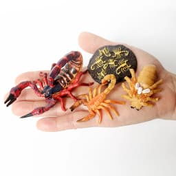 Simulation Green Bean, Cicada, Octopus, Centipede, Horseshoe Crab, Crocodile, Scorpion, Wasp Growth Cycle Model Figures Educatio