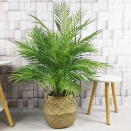 Large Artificial Palm Tree Green Tropical Fake Plants Flower Arrangement Props Home Decoration Hotel Office Party Deco Accessori