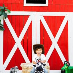 Country Rustic Barnyard Farm Animals Themed 1st 2nd 1 2 First Second One Two Year Old Boy Girl Happy Birthday Decoration Gift