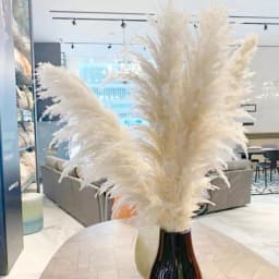 1Pcs 120cm Artificial Reed Flower Bouquet Plume Pampas Grass Dried Flowers For Home Room Decor Wedding Birthday Party Supplies