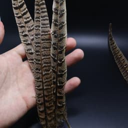 Royal Sissi Selected 6pcs Hen Pheasant Tail Feather March Brown Length 25-35cm Fly Tying Feathers Trout Fly Wing Tying Materials