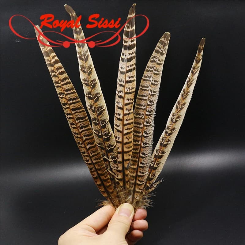 Royal Sissi Selected 6pcs Hen Pheasant Tail Feather March Brown Length 25-35cm Fly Tying Feathers Trout Fly Wing Tying Materials