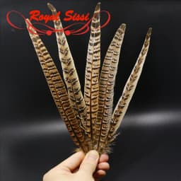 Royal Sissi Selected 6pcs Hen Pheasant Tail Feather March Brown Length 25-35cm Fly Tying Feathers Trout Fly Wing Tying Materials