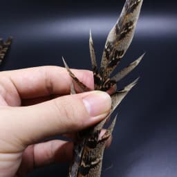 Royal Sissi Selected 6pcs Hen Pheasant Tail Feather March Brown Length 25-35cm Fly Tying Feathers Trout Fly Wing Tying Materials
