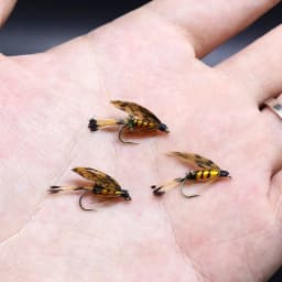 Royal Sissi Selected 6pcs Hen Pheasant Tail Feather March Brown Length 25-35cm Fly Tying Feathers Trout Fly Wing Tying Materials