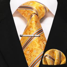 JEMYGINS Business Tie for Men Silk Navy Blue Tie Striped Paisley Necktie Handkerchief Tie Clips Set for Wedding Party Gift