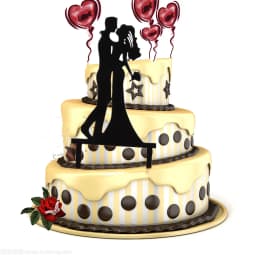 Color Mrs & Mrs Wedding Party Cake Toppers Gold Flowers Acrylic Bride and Groom Cake Toppers for Happy Wedding Cakes Decoration