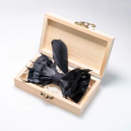 Black blue solid 2026 New feather bow tie handmade men's bow tie brooch Wooden box sets wedding party gift JEMYGINS design