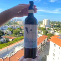 20pcs Custom Wine Labels Stickers Personalized Bottle Labels Wrapper Customized Couple Name with Picture Bride Shower Wedding