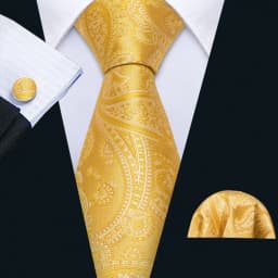 Fashion Silk Men Tie Set Gold Yellow Orange Solid Paisley Striped Plaid Floral Necktie Pocket Square Cufflinks Wedding Business