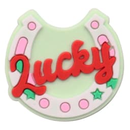 1-6pcs Mexico RBD Band PVC Accessories Shoes Charms Animals Lovely Panda Slippers Shoe Buckle fit Holiday Gift