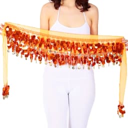 Belly Dance Sequined Waist Chain Copper Coin Waist Scarf Indian Dance Performance Clothing Accessories 10-color Hip Scarf
