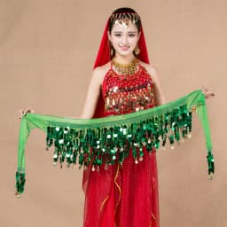 Belly Dance Sequined Waist Chain Copper Coin Waist Scarf Indian Dance Performance Clothing Accessories 10-color Hip Scarf