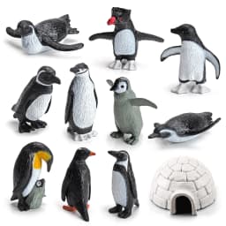 Realistic Plastic Growth Cycle Penguin Figurines Varieties of Penguins Polar Arctic Animal Figures Easter Eggs Cake Toppers Gift