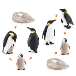 Realistic Plastic Growth Cycle Penguin Figurines Varieties of Penguins Polar Arctic Animal Figures Easter Eggs Cake Toppers Gift