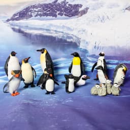 Realistic Plastic Growth Cycle Penguin Figurines Varieties of Penguins Polar Arctic Animal Figures Easter Eggs Cake Toppers Gift