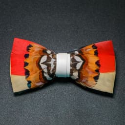 JEMYGINS New Design Men's Wedding Bow Tie Fashion Handmade Feather BowTie Gift for Birthday Party Men Bow Tie Suit Accessories