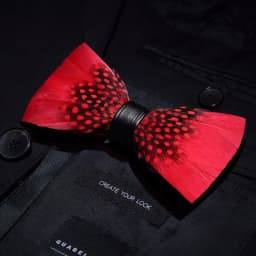 JEMYGINS New Design Men's Wedding Bow Tie Fashion Handmade Feather BowTie Gift for Birthday Party Men Bow Tie Suit Accessories