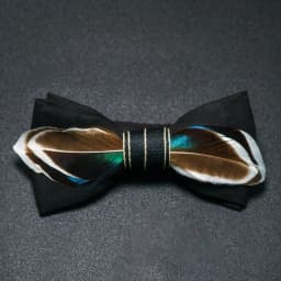 JEMYGINS New Design Men's Wedding Bow Tie Fashion Handmade Feather BowTie Gift for Birthday Party Men Bow Tie Suit Accessories