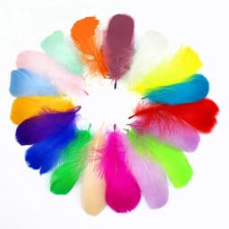 Colorful Feathers for Transparent Bobo Ballons Filled Baby Shower Decor IT IS A BOY GIRL Ballons Birthday Wedding Decors Balloon