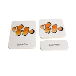 Montessori Language Materials 3 Part Cards of Fruit/ Vegetable/ Tools/ Instrument/ Farm/ Transportation Kids Learning Resources