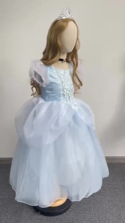 Princess Charm Cinderella Costume Girls Formal Dress