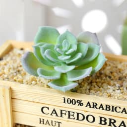 DIY Artificial Succulent Flocked Plant Fake Cactus Home Gardens Bedroom Office Outside Decor Fake Plant Desktop Small Bonsai New