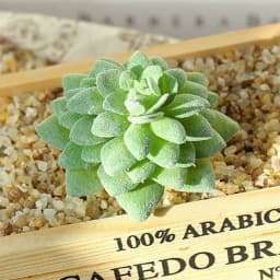 DIY Artificial Succulent Flocked Plant Fake Cactus Home Gardens Bedroom Office Outside Decor Fake Plant Desktop Small Bonsai New