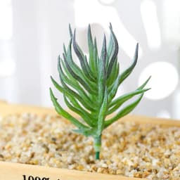 DIY Artificial Succulent Flocked Plant Fake Cactus Home Gardens Bedroom Office Outside Decor Fake Plant Desktop Small Bonsai New