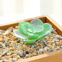 DIY Artificial Succulent Flocked Plant Fake Cactus Home Gardens Bedroom Office Outside Decor Fake Plant Desktop Small Bonsai New