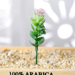 DIY Artificial Succulent Flocked Plant Fake Cactus Home Gardens Bedroom Office Outside Decor Fake Plant Desktop Small Bonsai New