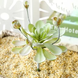 DIY Artificial Succulent Flocked Plant Fake Cactus Home Gardens Bedroom Office Outside Decor Fake Plant Desktop Small Bonsai New