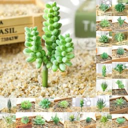 DIY Artificial Succulent Flocked Plant Fake Cactus Home Gardens Bedroom Office Outside Decor Fake Plant Desktop Small Bonsai New