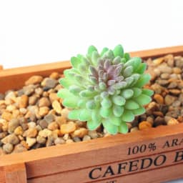 DIY Artificial Succulent Flocked Plant Fake Cactus Home Gardens Bedroom Office Outside Decor Fake Plant Desktop Small Bonsai New